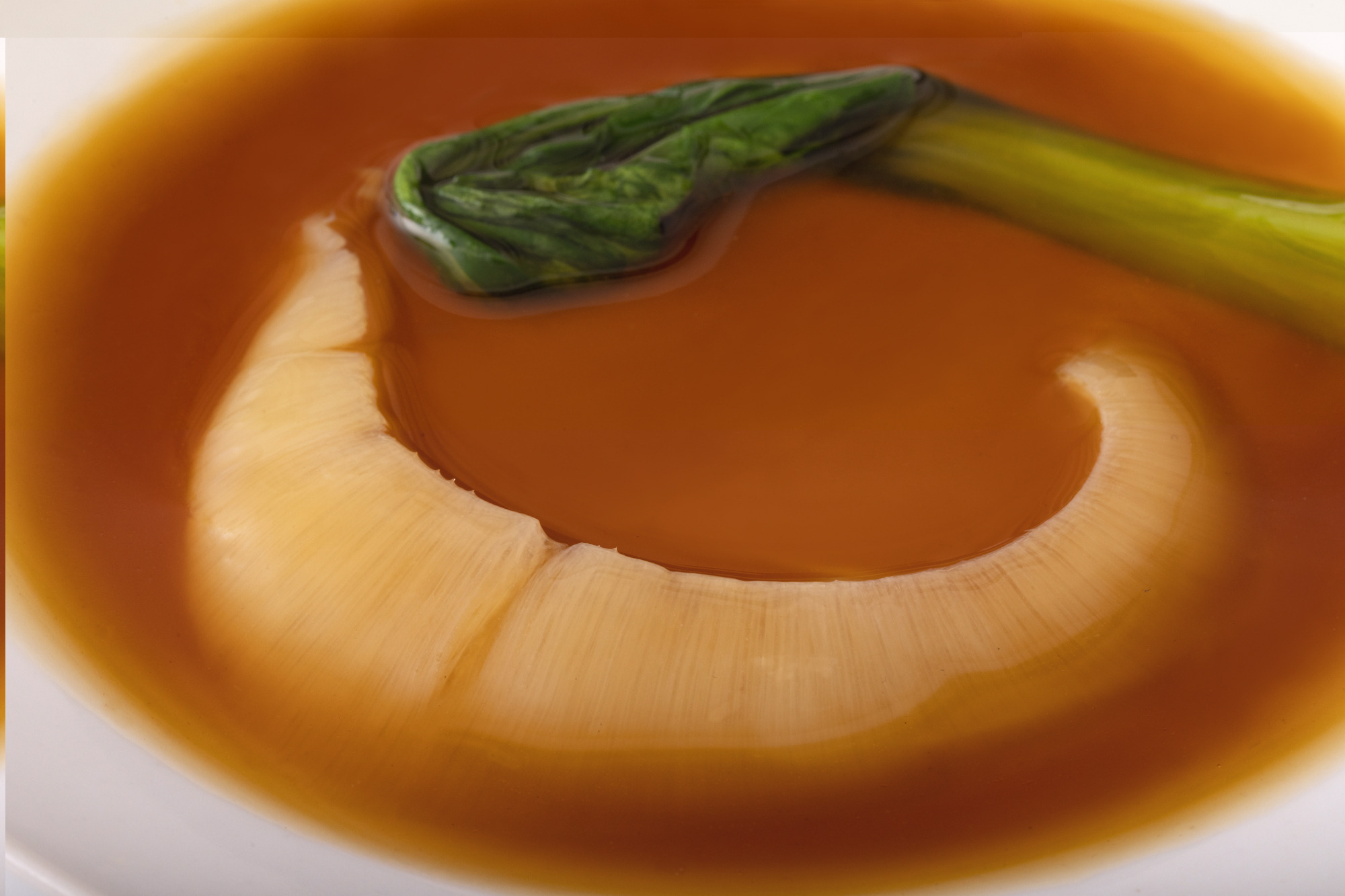 水揚げ量日本一!「サメ」の秘密に迫る。フカヒレのお取り寄せも