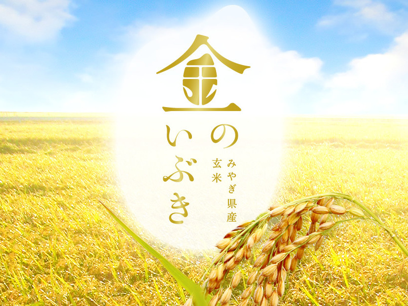 白米と同じように炊けて驚くほどおいしい、“究極の玄米”「金のいぶき」