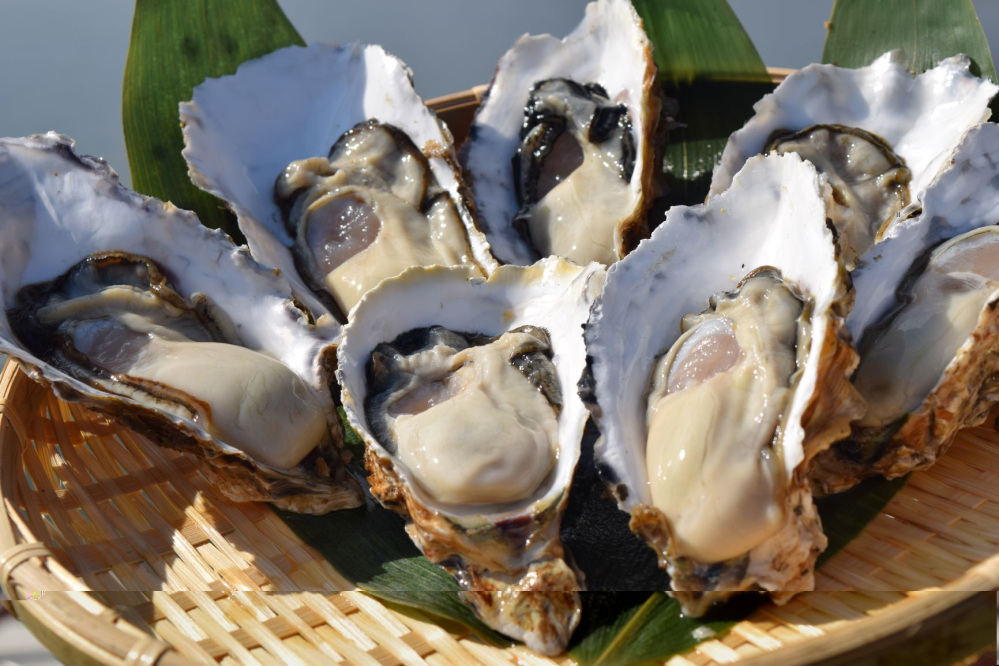 寒さが増すとともに旬を迎える宮城県の「牡蠣」