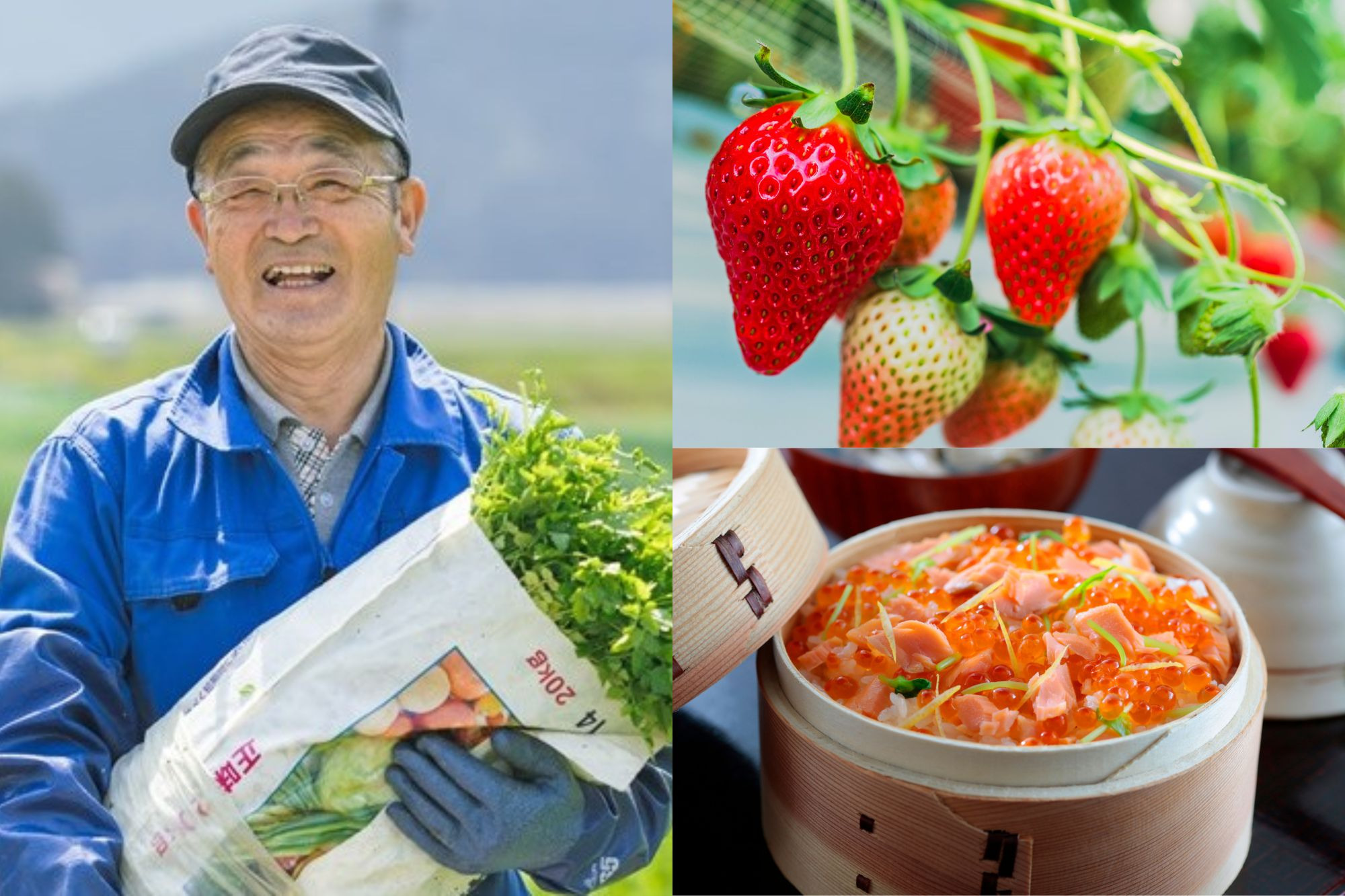 春におすすめ！宮城県のグルメ・食材まとめ