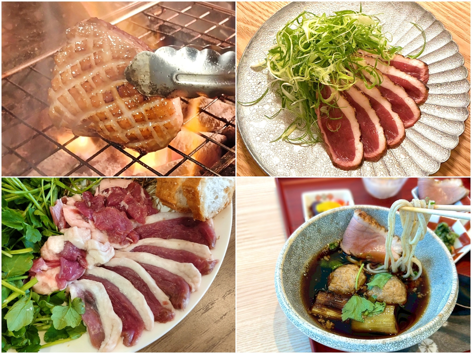 プロが絶賛する宮城の希少ブランド食材「野田鴨」！地元ライターがオススメする野田鴨料理が美味しいお店3選＋お取り寄せ商品！