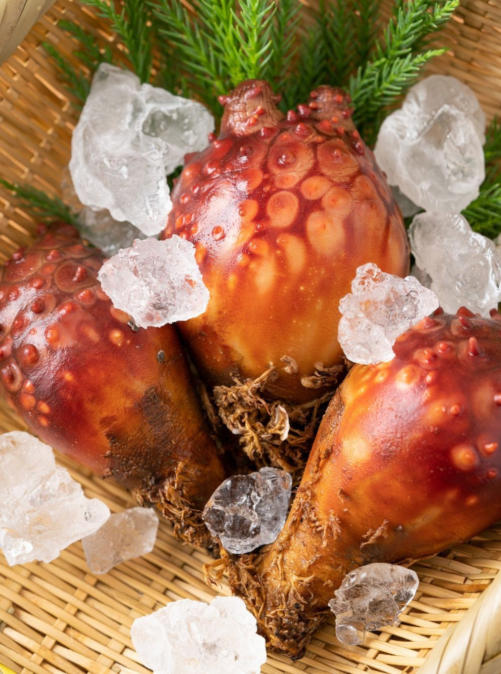 海の恵みを蓄えた栄養満点の「ホヤ」｜特集｜【公式】食材王国・宮城県