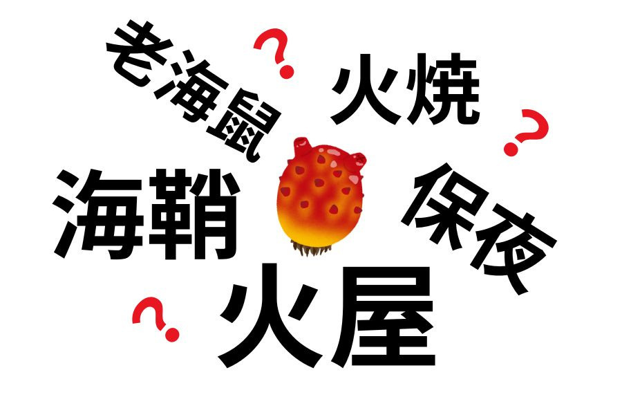 全部わかればホヤ博士!? ホヤの漢字