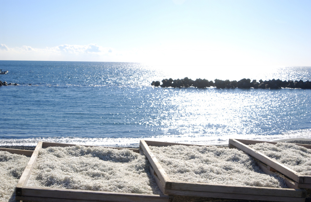 宮城県のしらすは「北限のしらす」