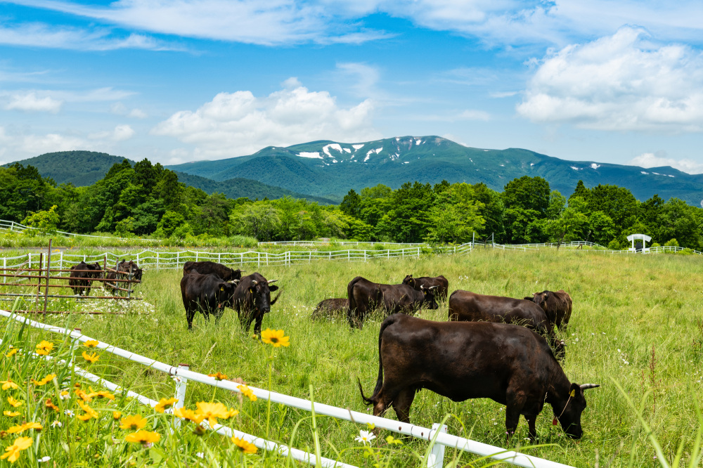 美味しい仙台牛のヒミツ