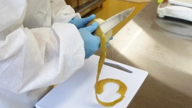 キズや形に合わせて処理するため、皮むきはすべて手作業