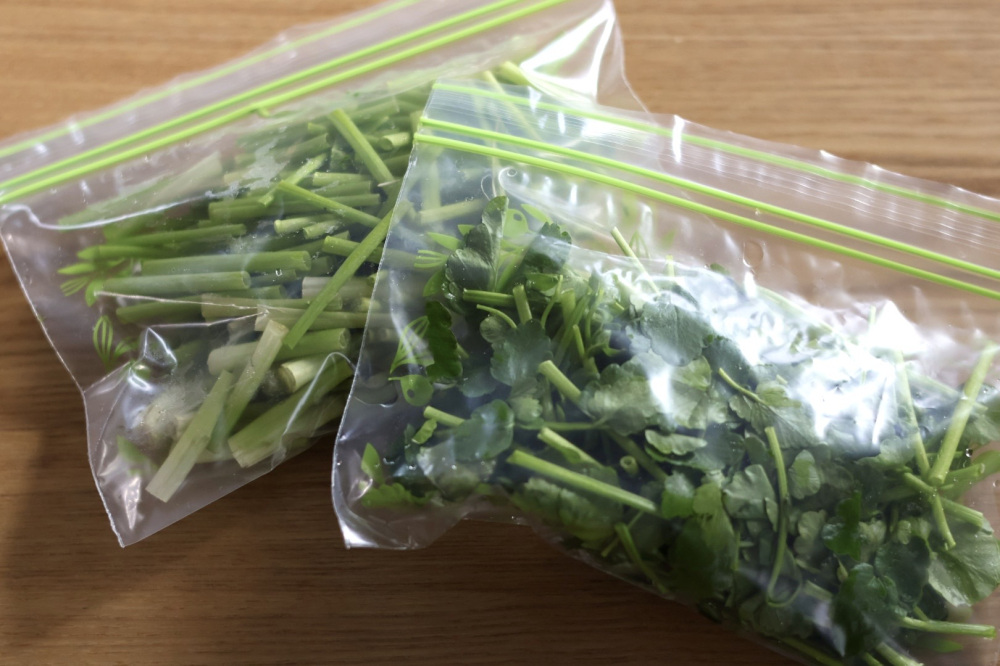 美味しいせりの選び方＆保存のポイント