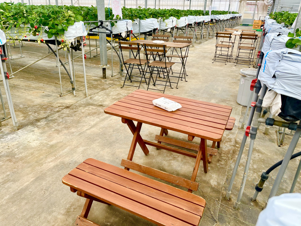 テーブルとイスもあるので座ってゆっくり食べることもできます。