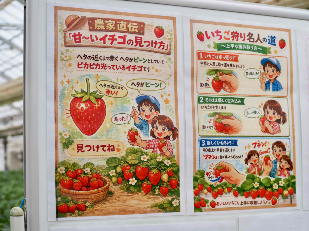 甘いいちごの見つけ方を読んで「真っ赤ないちごを見つけるぞー!」と張り切っていました。