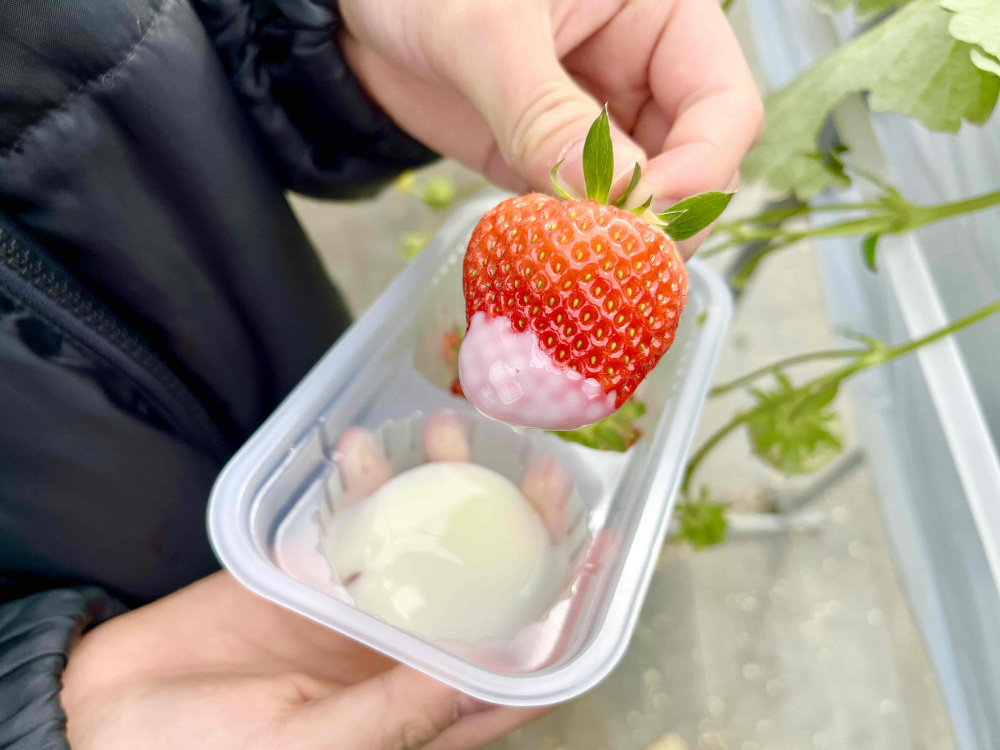 練乳で味変!そのままでもおいしいのですが、練乳を付けてもまたおいしい!