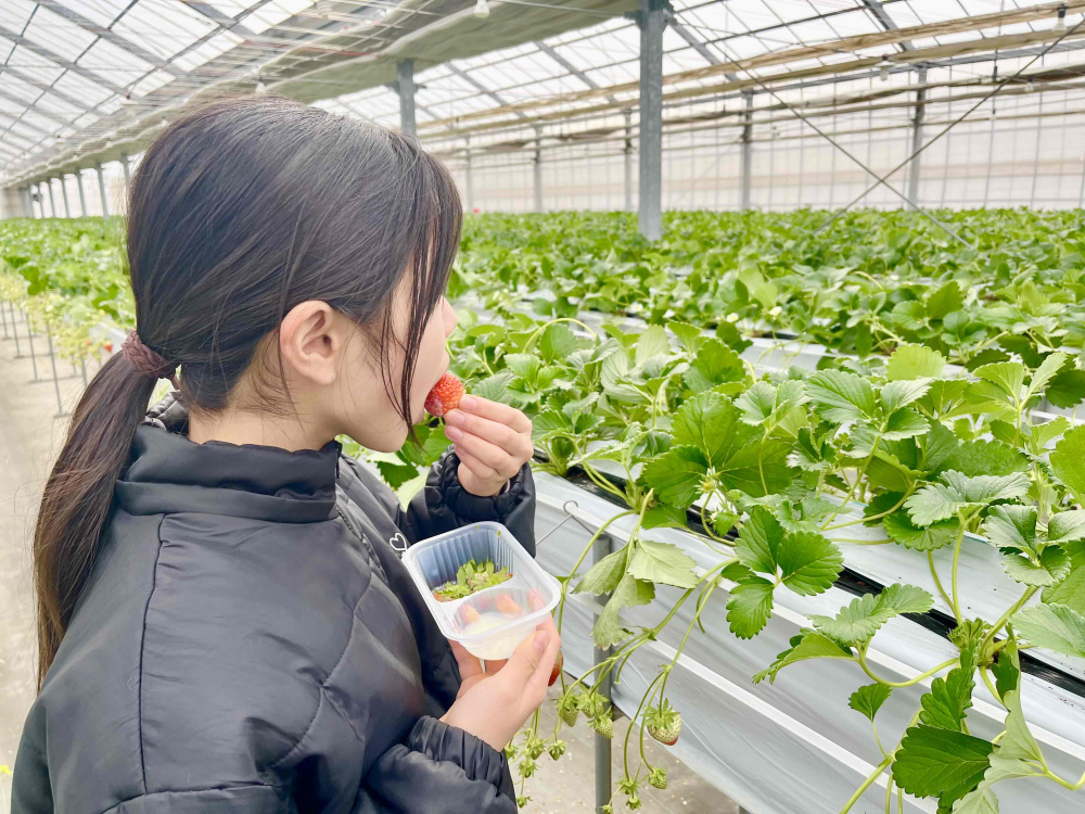 「幸せすぎる~!」と食べる手が止まりません。