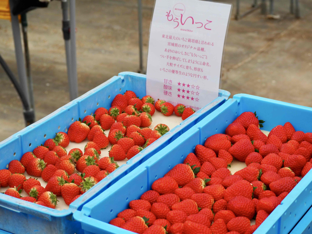 名前のとおり「もういっこ!」が止まらないおいしさ。こんなにおいしいいちごをお腹いっぱい食べられるなんて夢のようです。