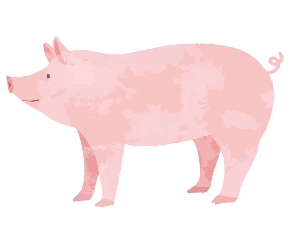 豚って何を食べて育つ？