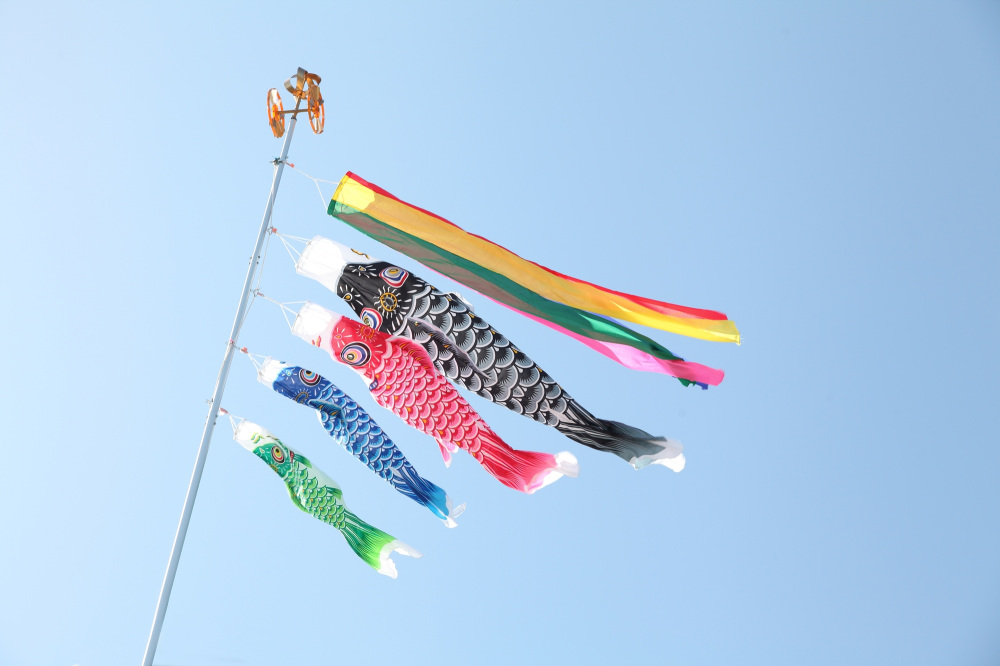 ５月５日は「わかめの日」