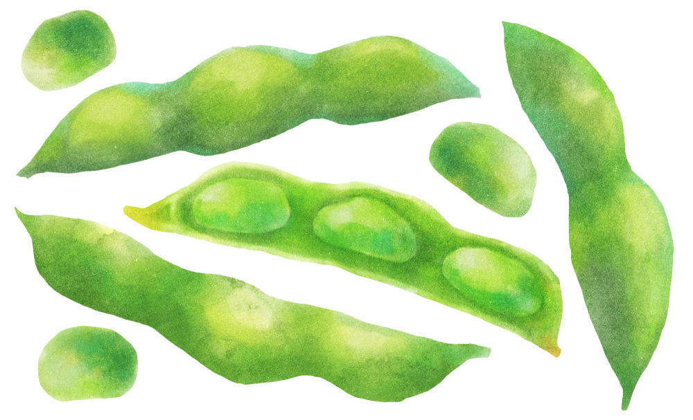 枝豆の「芯止め」ってなに?
