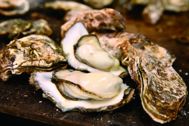 牡蠣やいくらなど！煌びやかな海鮮グルメ