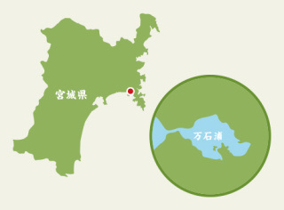 一万石の豊かな海