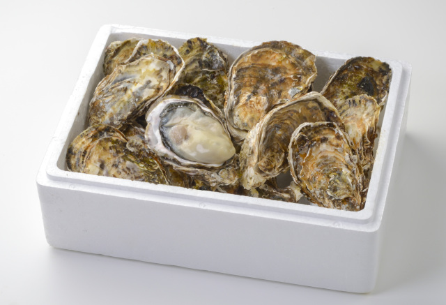 生食用殻付き牡蠣