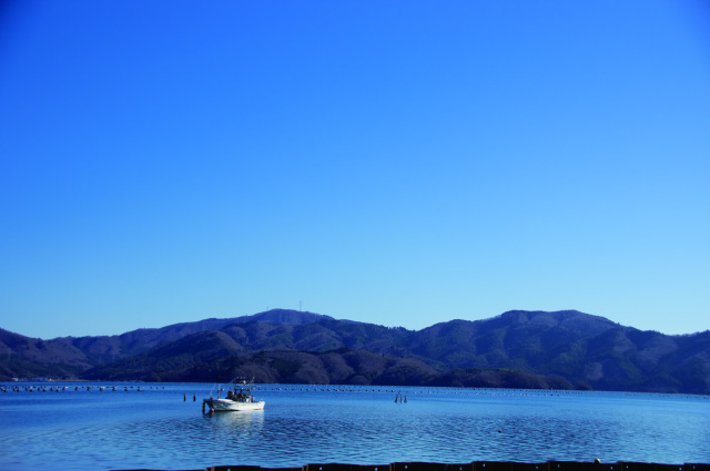 牡蠣の生食用と加熱用の違いって？