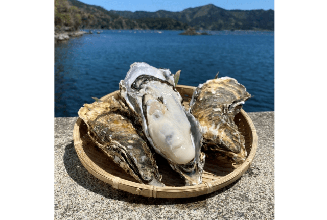 三陸石巻産 特大 夢牡蠣