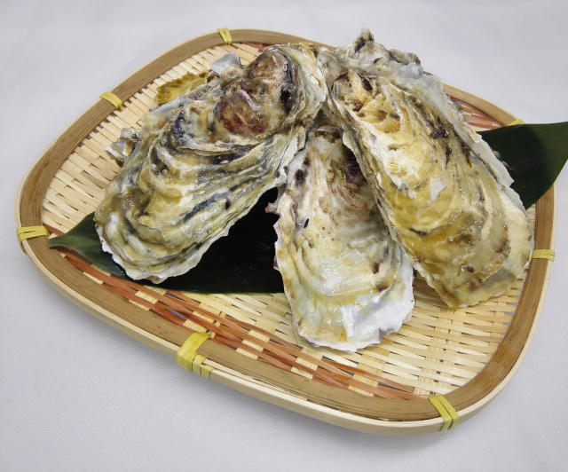 みちのく三陸産　数量限定　生殻牡蠣2kg/3kg/5kg