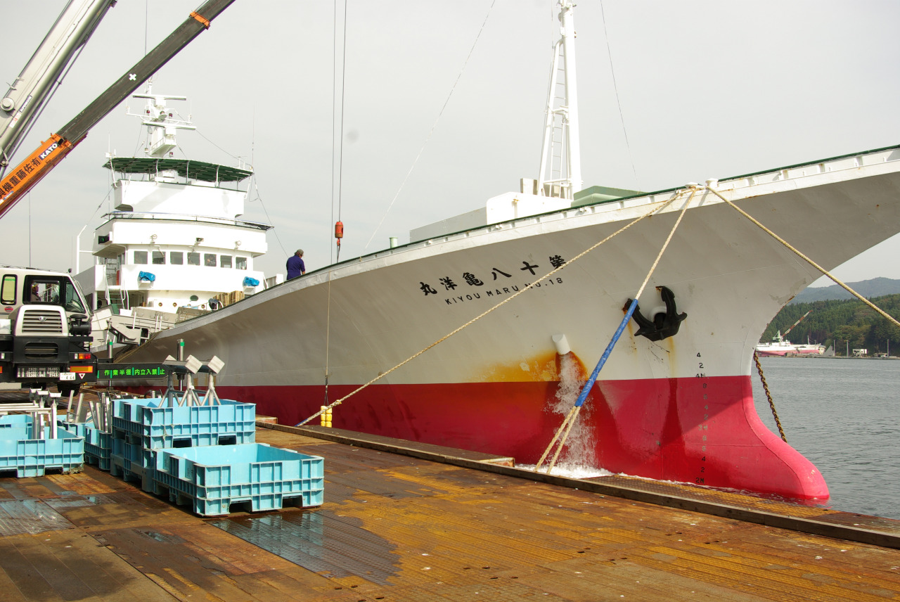 気仙沼船籍　かつお一本釣り漁船「亀洋丸」