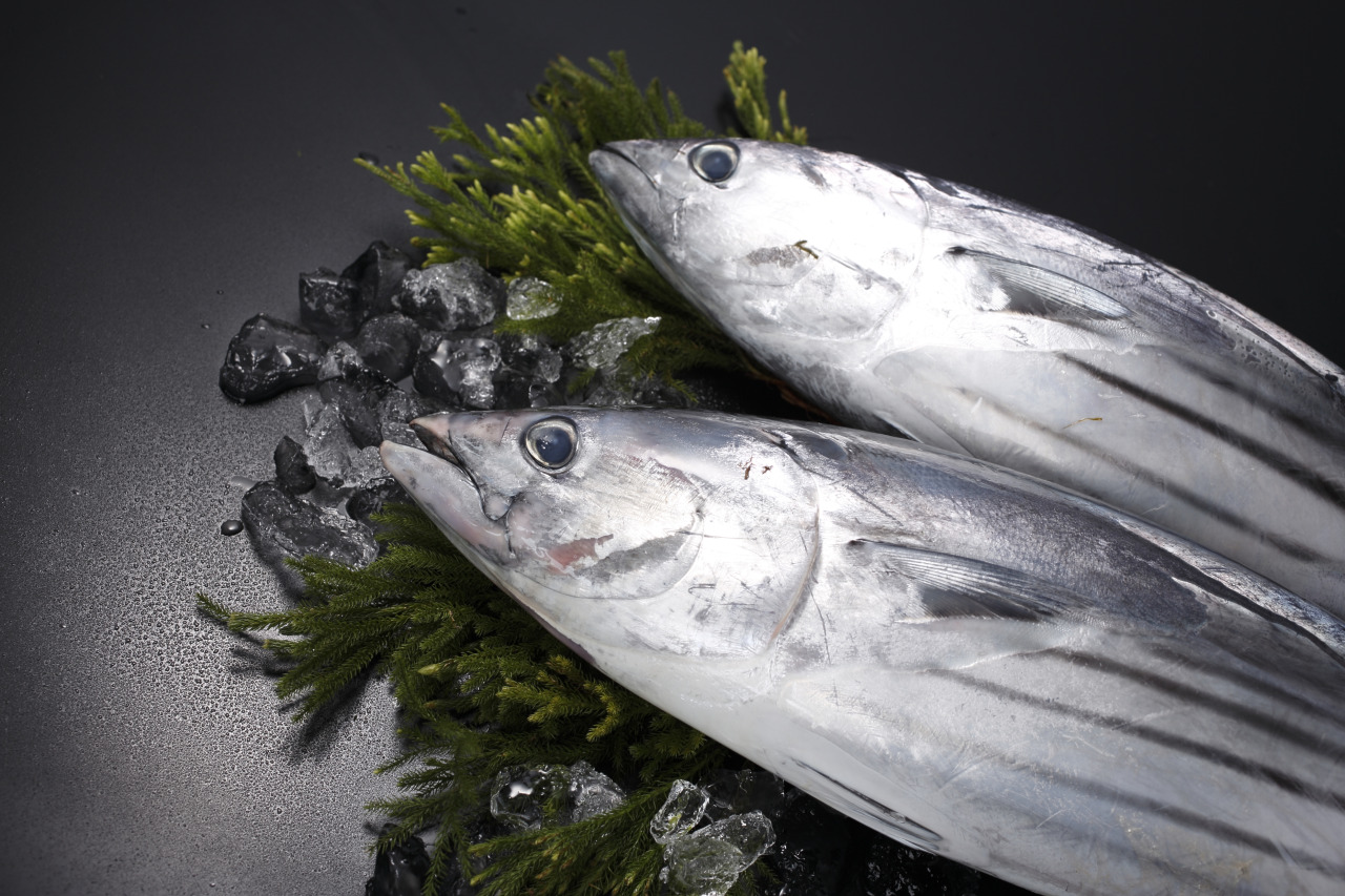 一本釣りかつお