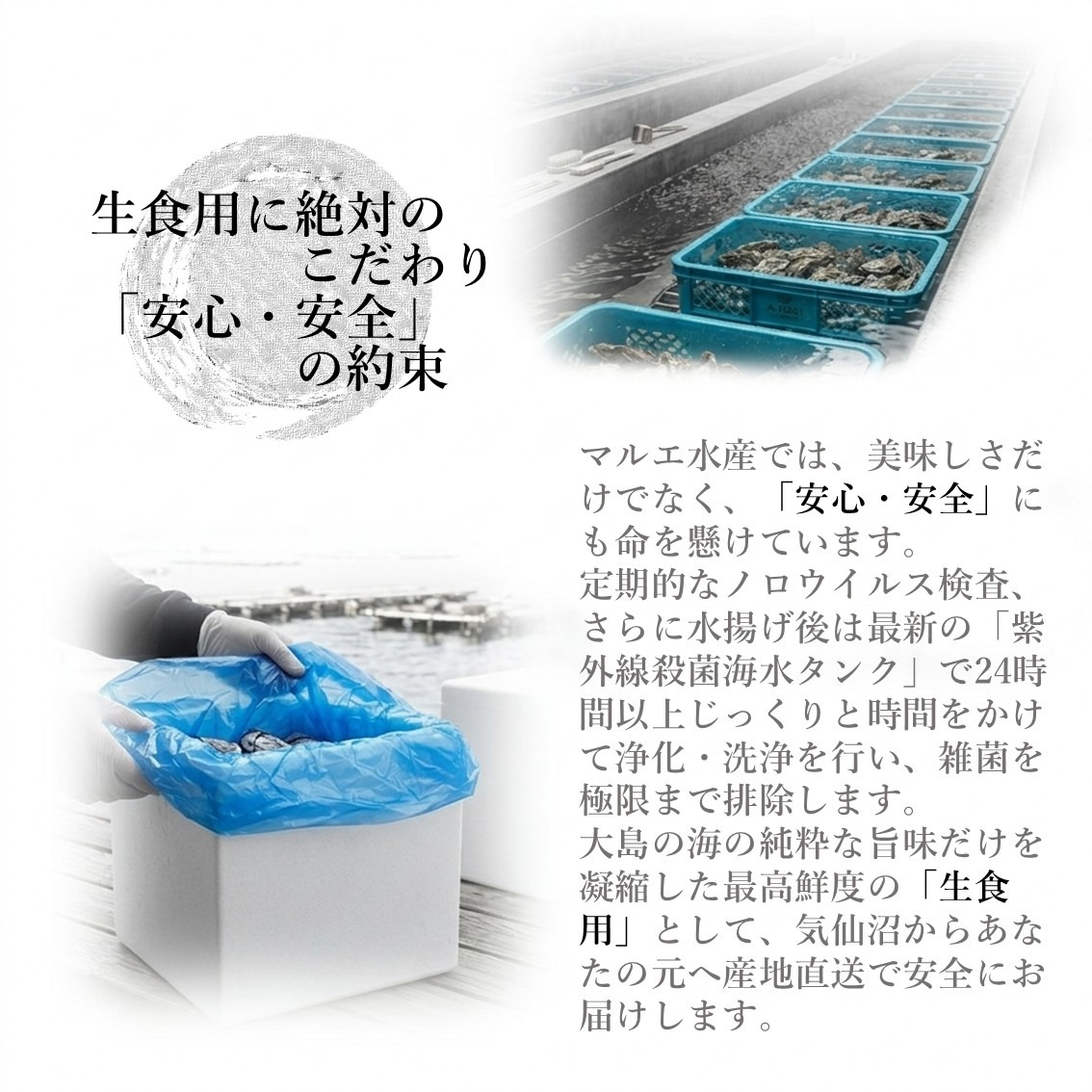 安心・安全