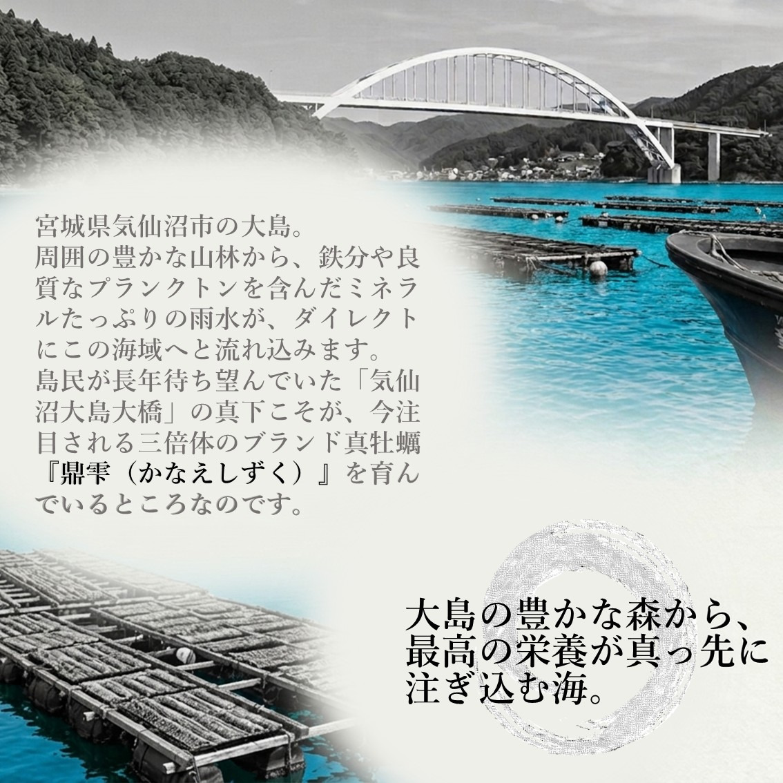 気仙沼大島