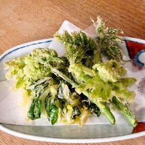 山菜茶屋 ざらぼう