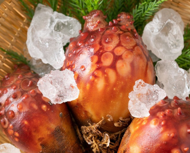 宮城県のホヤを食べてみたい！通販でお取り寄せできるホヤを使った商品総まとめ