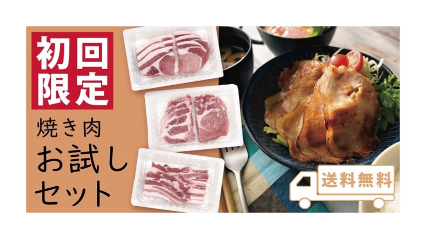 JAPAN X お試しセットA たっぷり焼き肉800ｇ