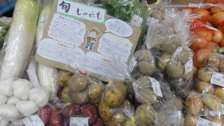 今週の県庁１階販売会は「新鮮野菜販売会」です！