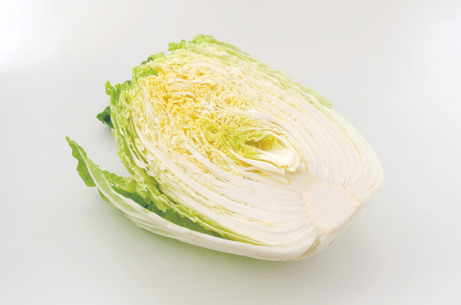 震災被害をきっかけに復活した伝統野菜「仙台白菜」